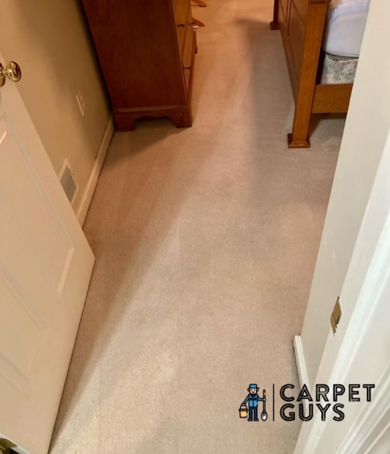 After: Clean restored carpet