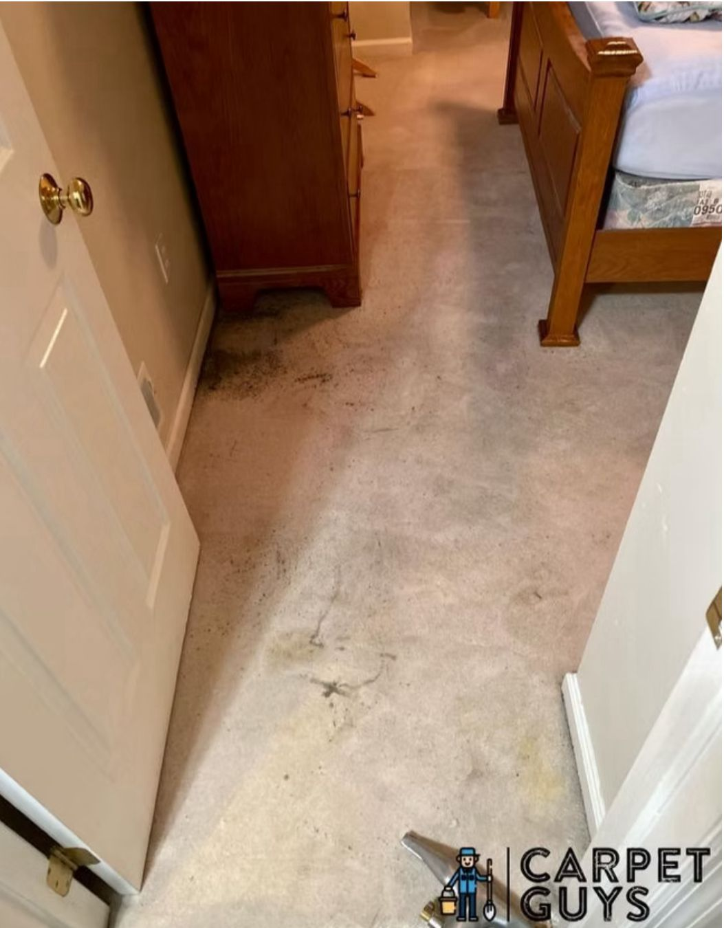 Before: Dirty damaged carpet
