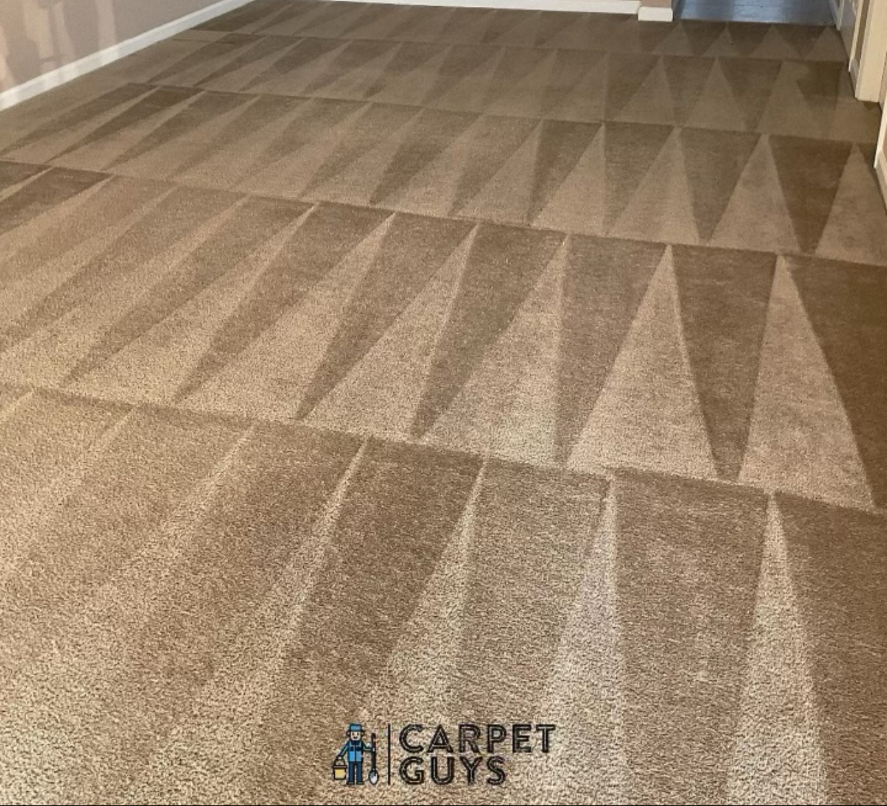 Deep cleaned living room carpet