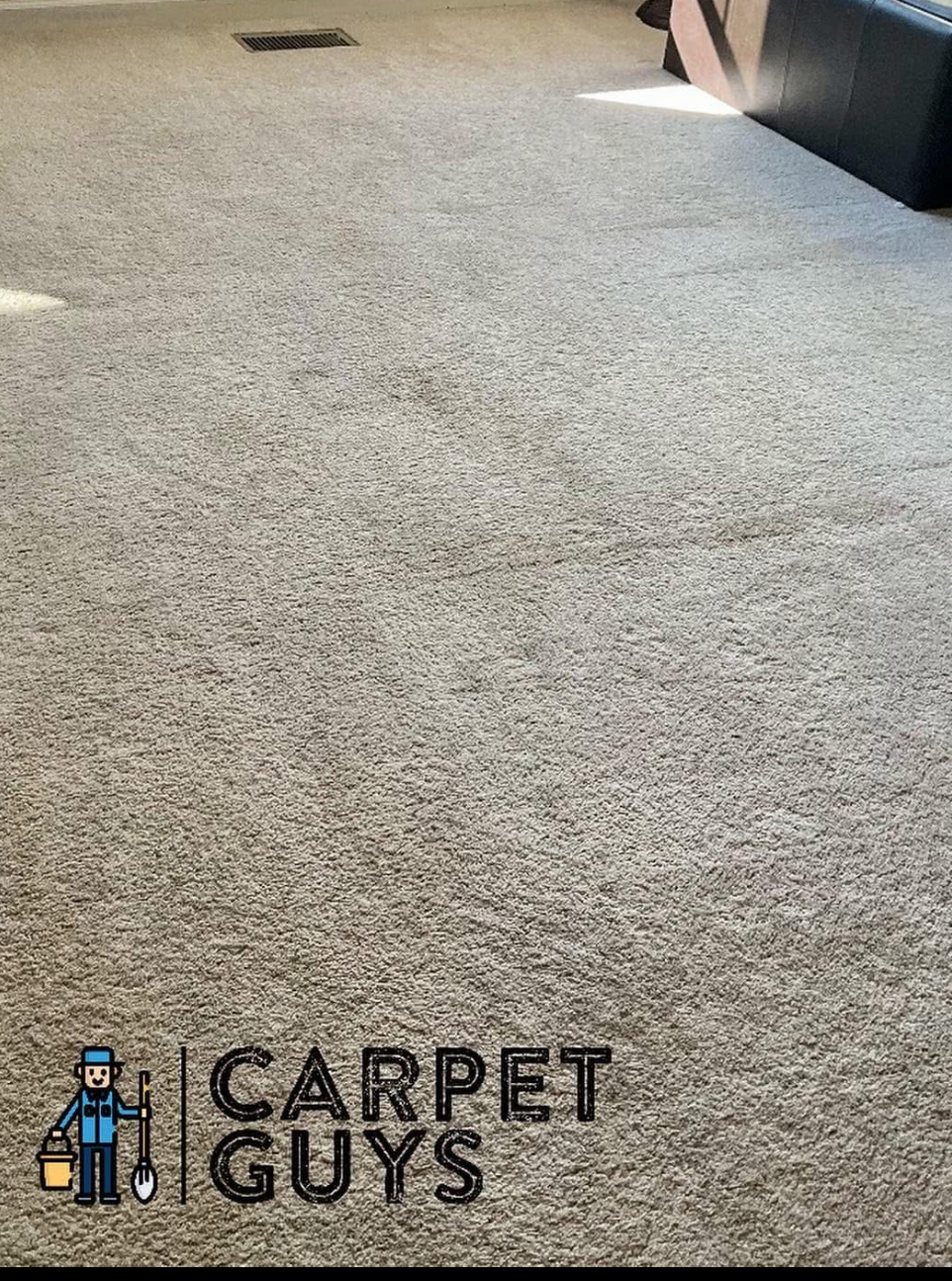 Pet stain after cleaning