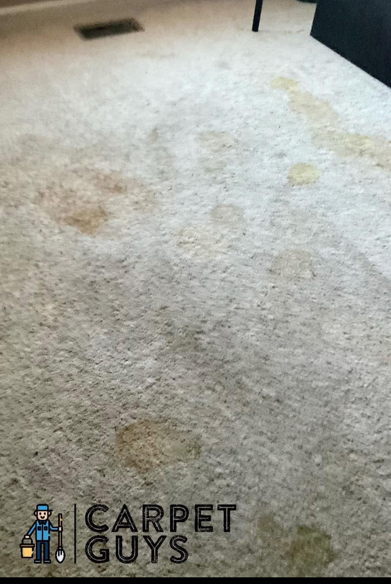 Pet stain before cleaning